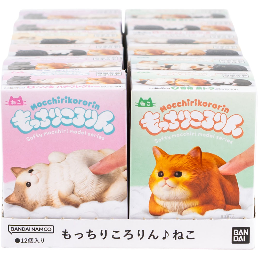 Mocchiri Kororin Cats Boxed | A&A Global Industries