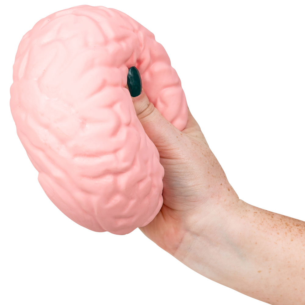Jumbo Squishy Brain with Flour Inside | A&A Global Industries Jumbo Squishy Brain with Flour Inside | A&A Global Industries